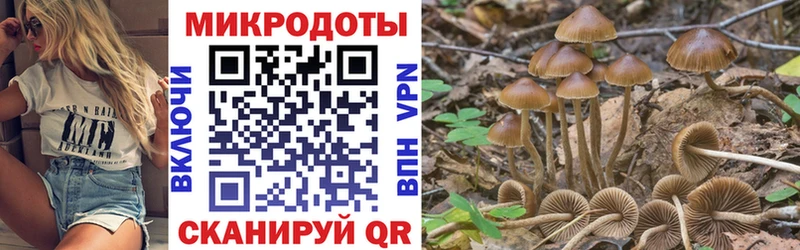 Псилоцибиновые грибы MAGIC MUSHROOMS  Купить где  Октябрьск 